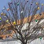 Zielone Tarasy Колобжег