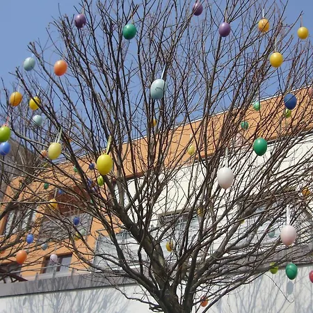 Zielone Tarasy 코워브제크